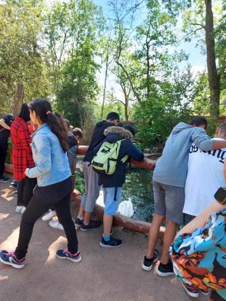 Straßen-Sozialarbeit